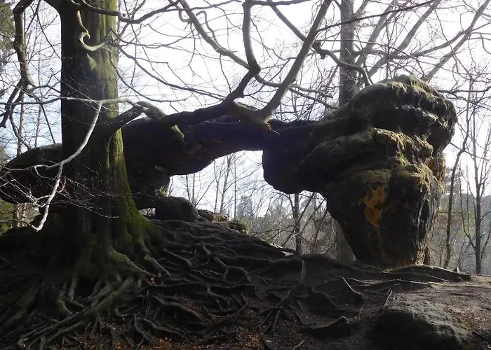 Porschendorf Appartement Durrrohrsdorf-Dittersbach